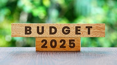 A Budget for Stability - Carter Lemon Camerons